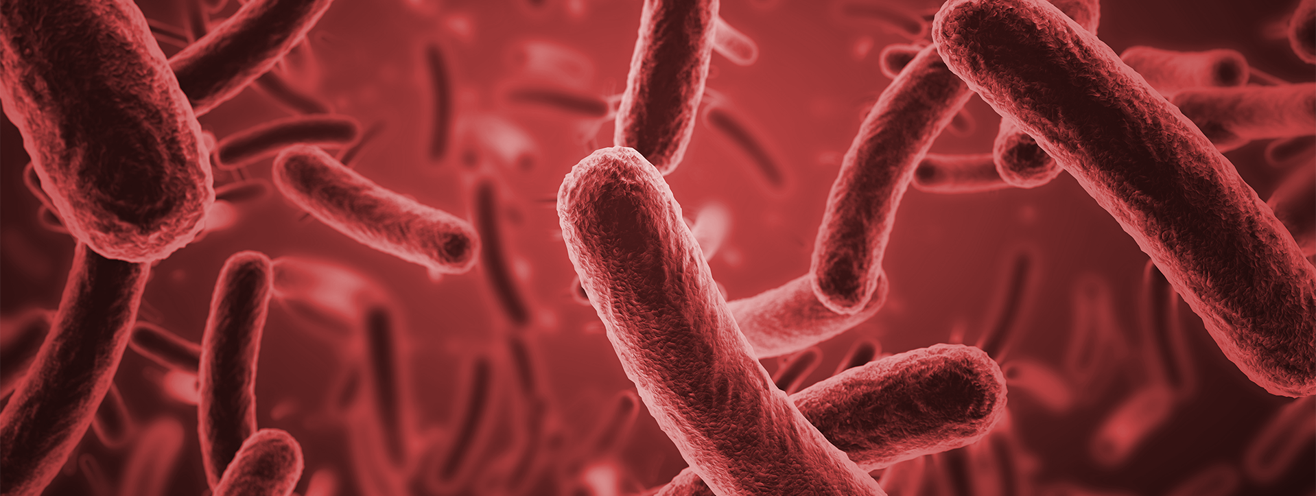 Microbiologically Influenced Corrosion in Closed Loop Heating and Cooling Systems 